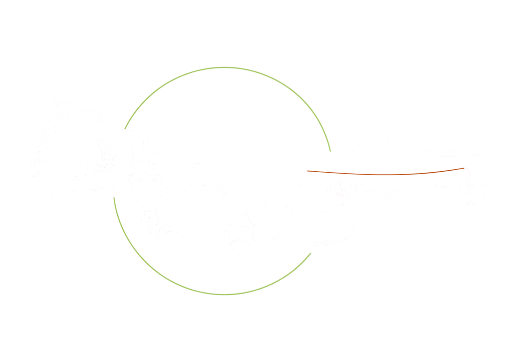A car, an excavator, a skid-steer and a boat on a trailer together on the origination line.